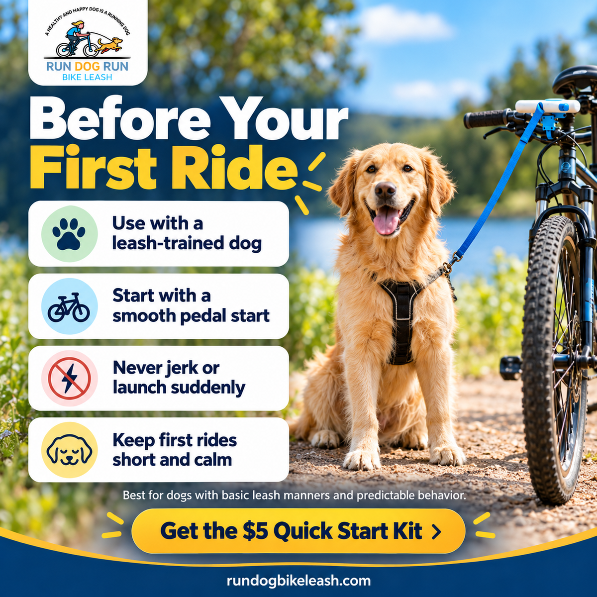 Run Dog Run: The $5 Quick Start Kit